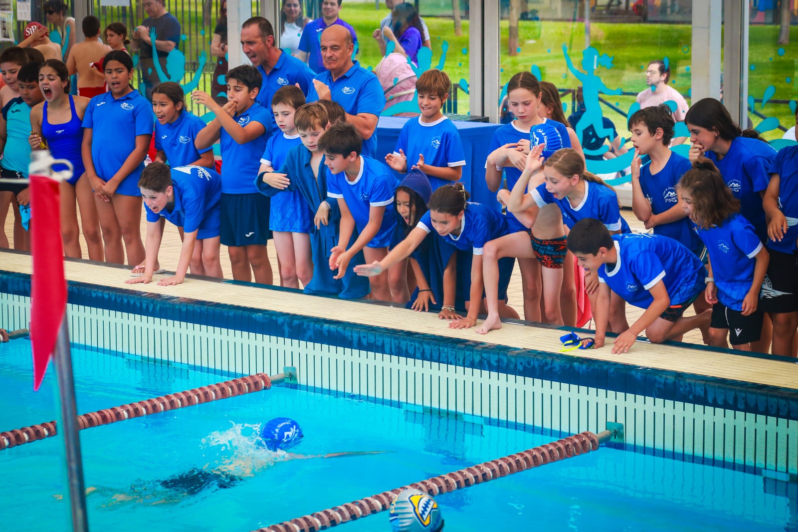 El Club de Natación Pozuelo campeón de la Copa Federación Benjamín Grupo B